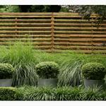 fence tampa 82
