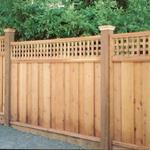 fence tampa 33
