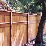fence tampa 29