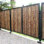 fence tampa 11